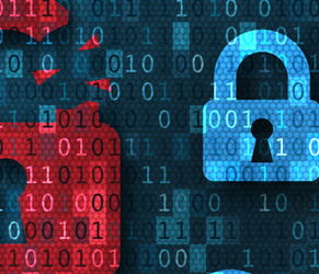 Violação de Dados – IBM / 2021